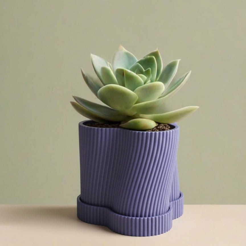 Spiral Grace Desktop Planter for - Office Desk, H...
