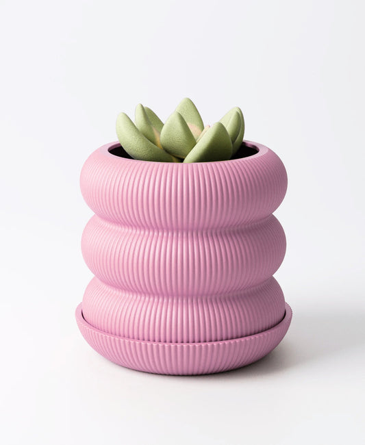 3D Printed Bubble-Shaped Planter Pot