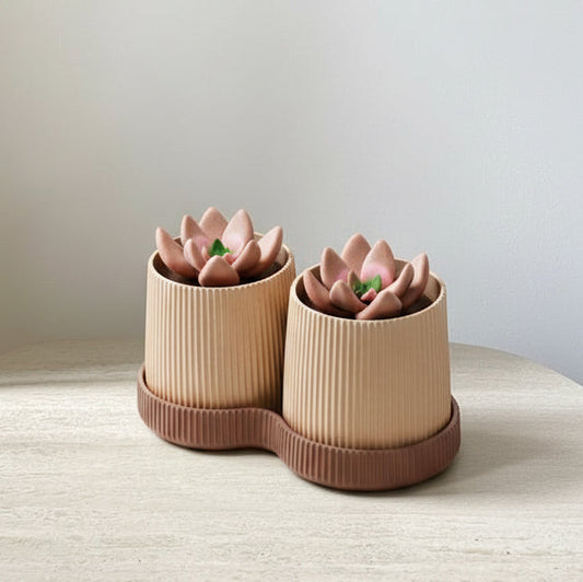 Dual Planter with Tray
